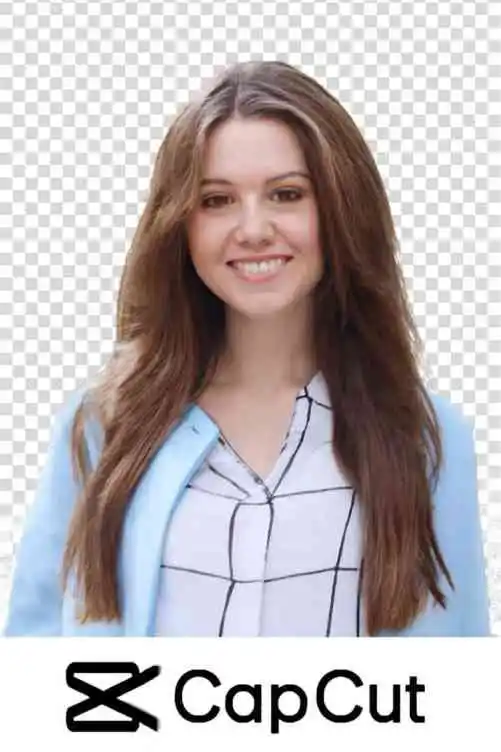 capcut mod apk background remover 