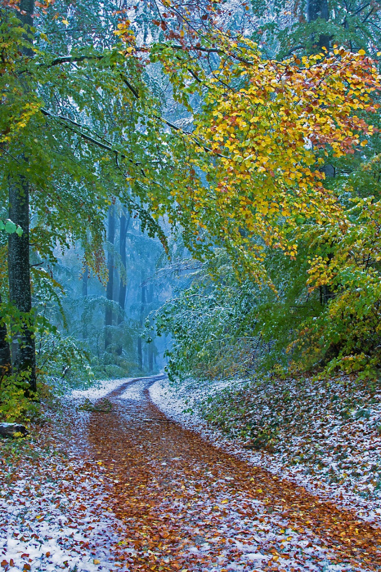 Use CapCut and Generate Auto Captions in Multiple Languages